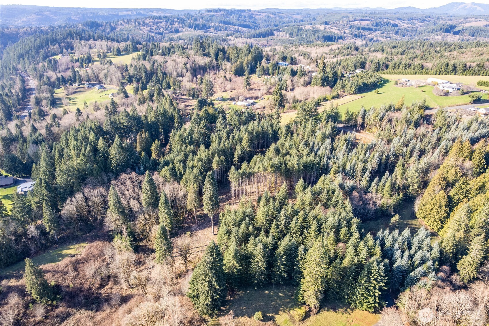 0 Bunker Hill Road Longview WA 98632