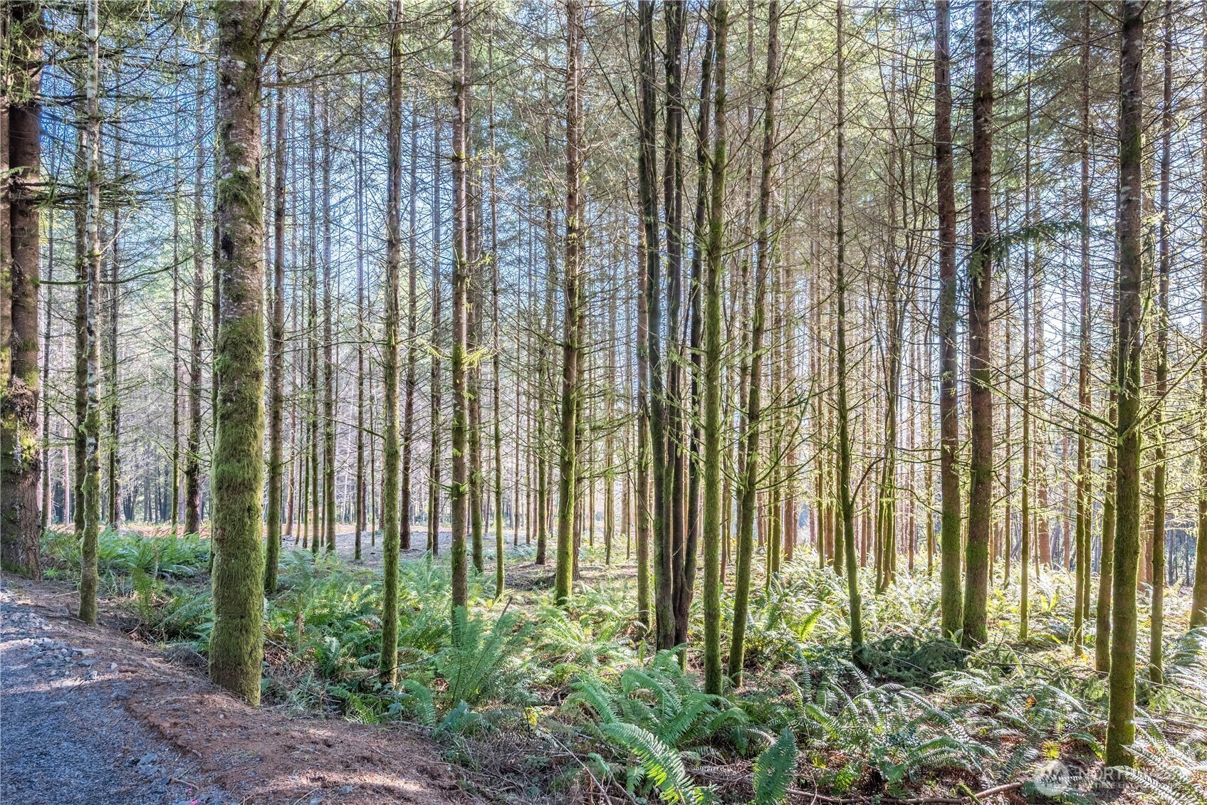 0 Bunker Hill Road Longview WA 98632