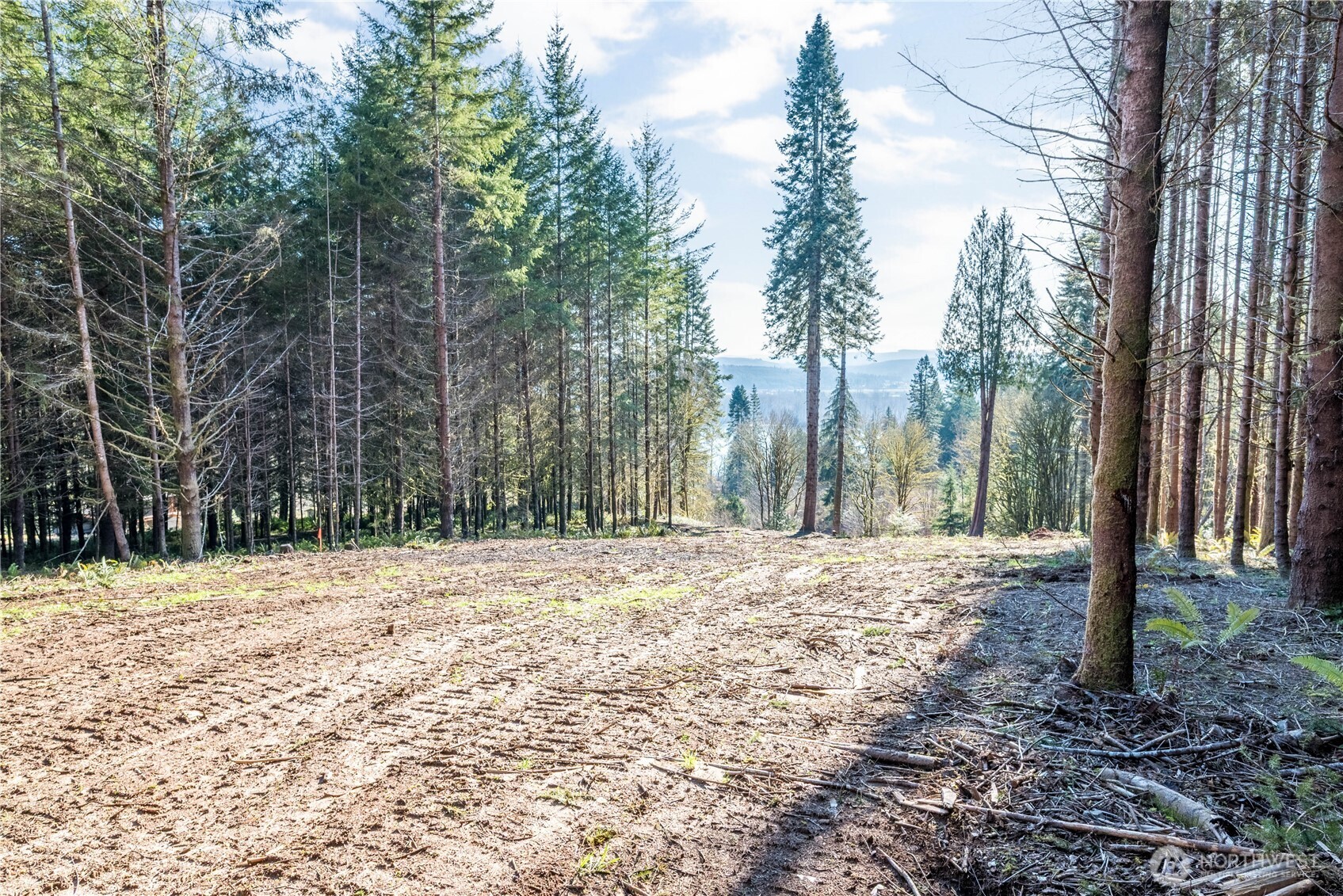 0 Bunker Hill Road Longview WA 98632