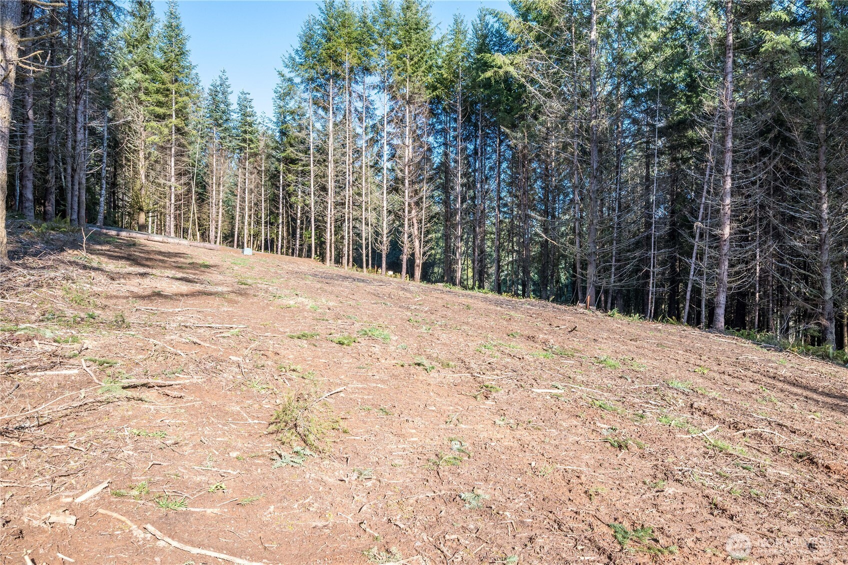 0 Bunker Hill Road Longview WA 98632