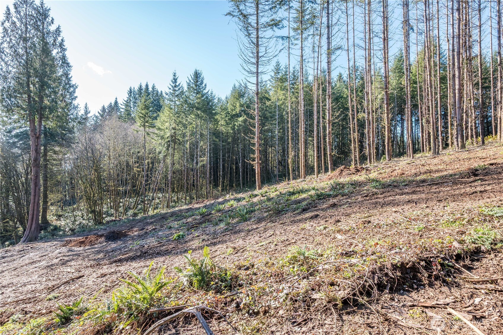 0 Bunker Hill Road Longview WA 98632