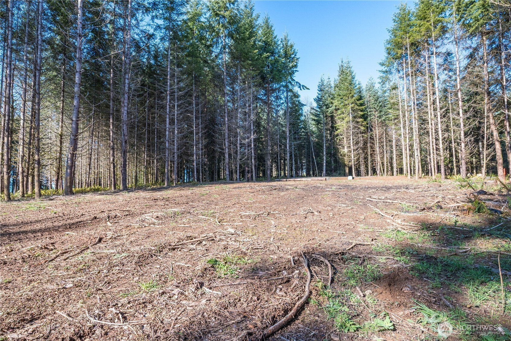 0 Bunker Hill Road Longview WA 98632