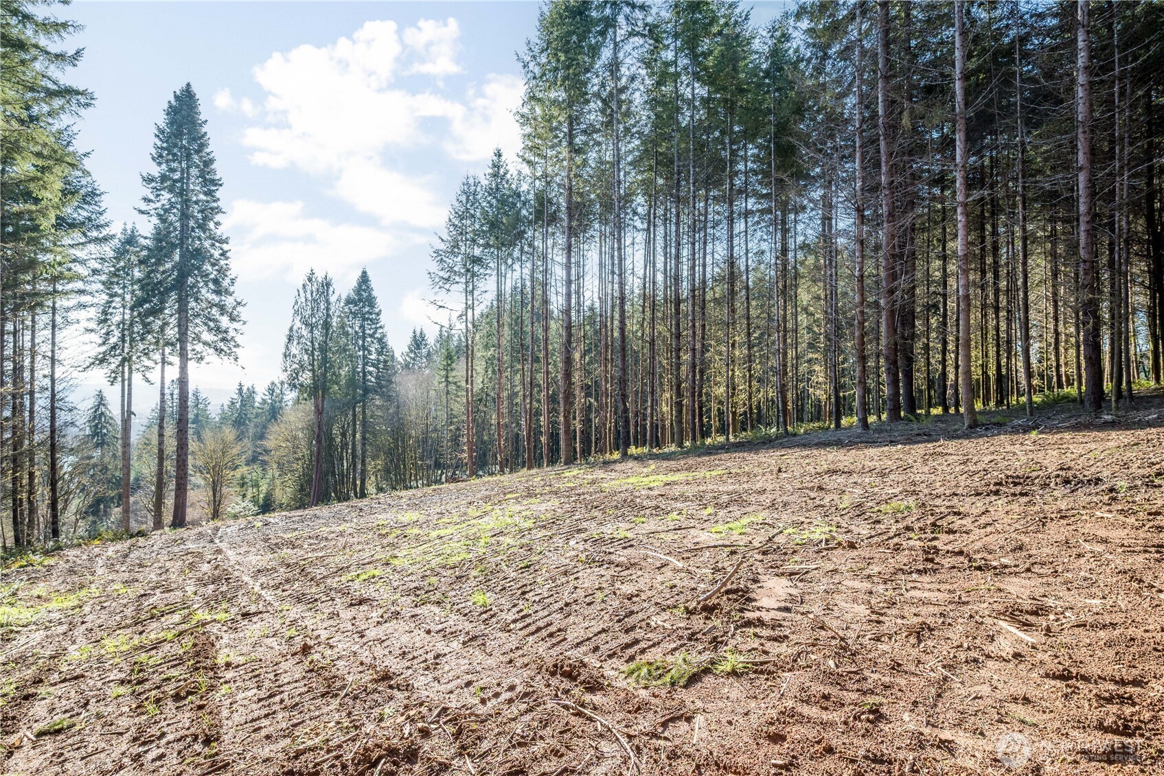 0 Bunker Hill Road Longview WA 98632