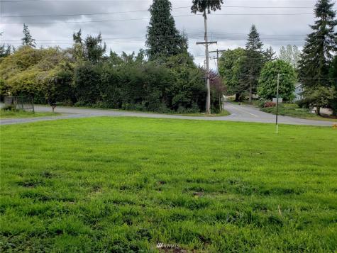 0 Lake Avenue Snohomish WA 98290