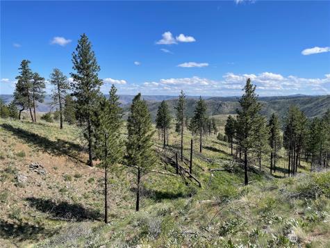 436 Antoine Creek Road Chelan WA 98816