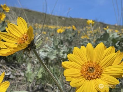 436 Antoine Creek Road Chelan WA 98816