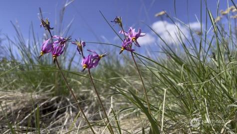 436 Antoine Creek Road Chelan WA 98816