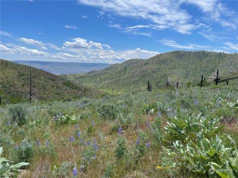 436 Antoine Creek Road Chelan WA 98816