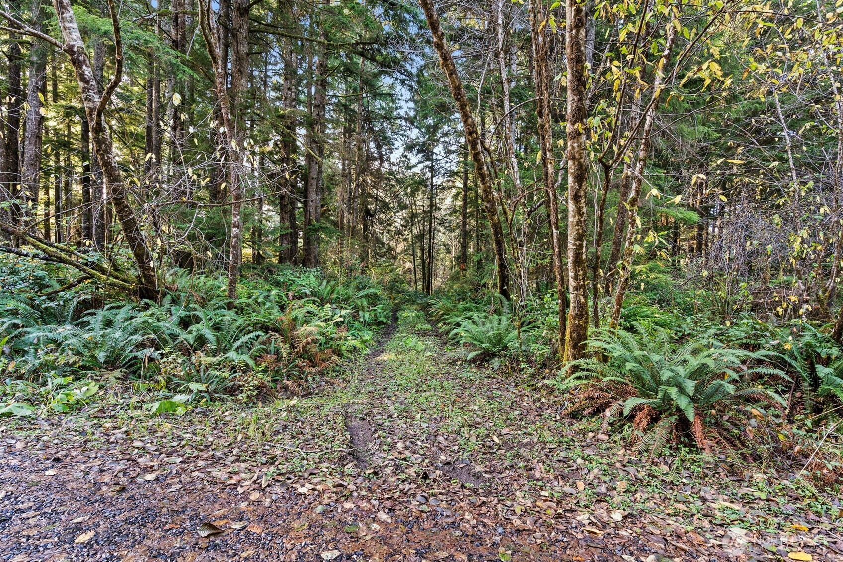 0 Bay Lane South Bend WA 98596