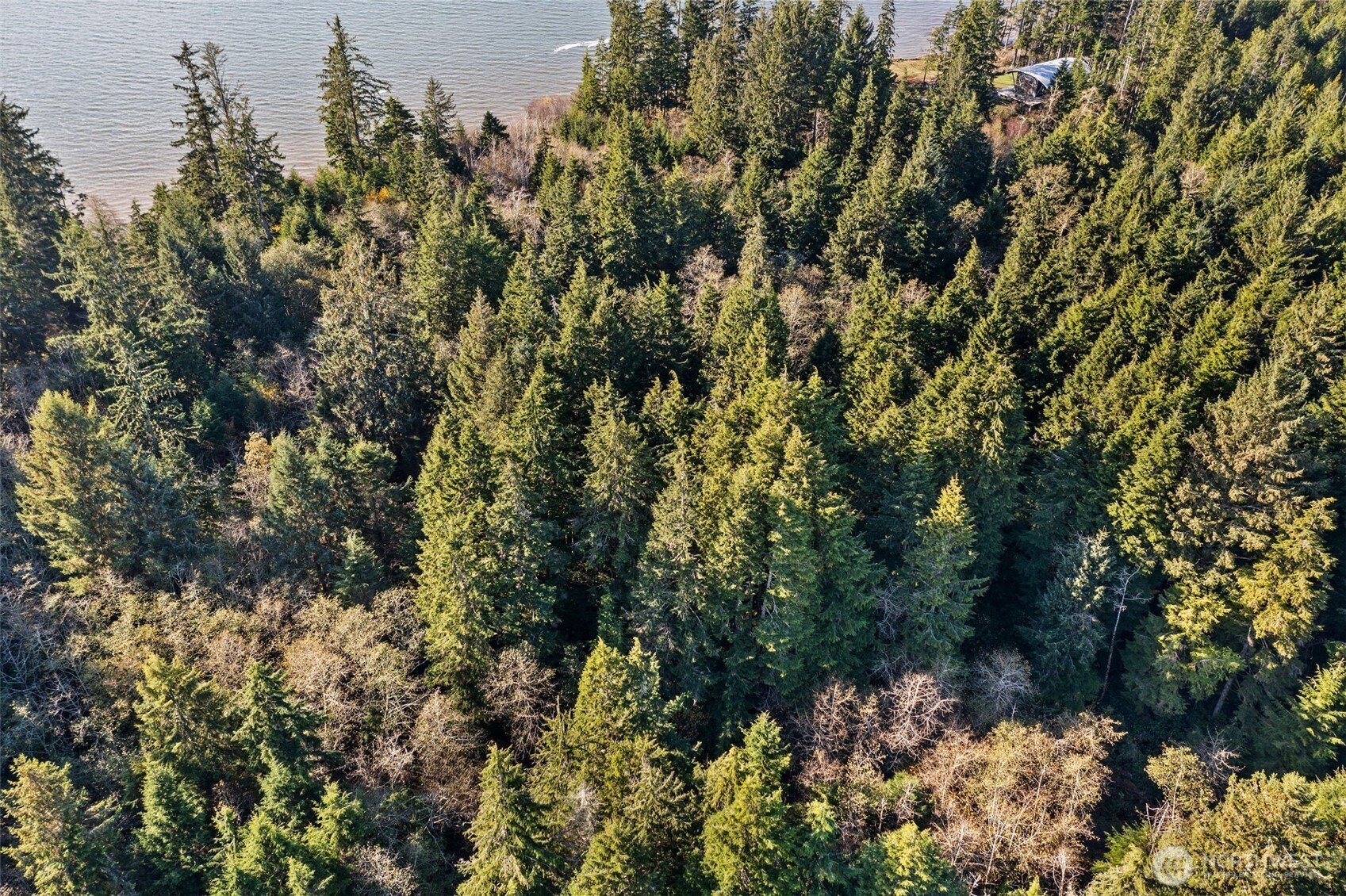 0 Bay Lane South Bend WA 98596