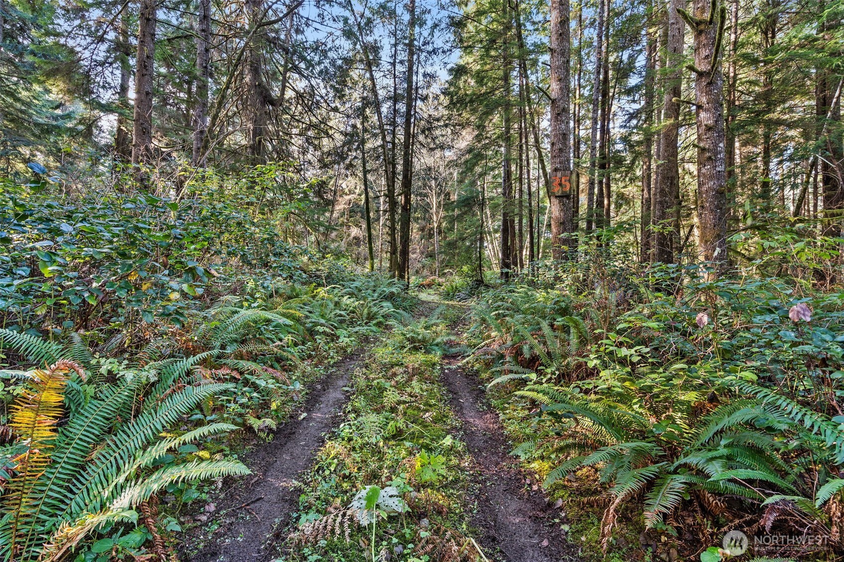 0 Bay Lane South Bend WA 98596