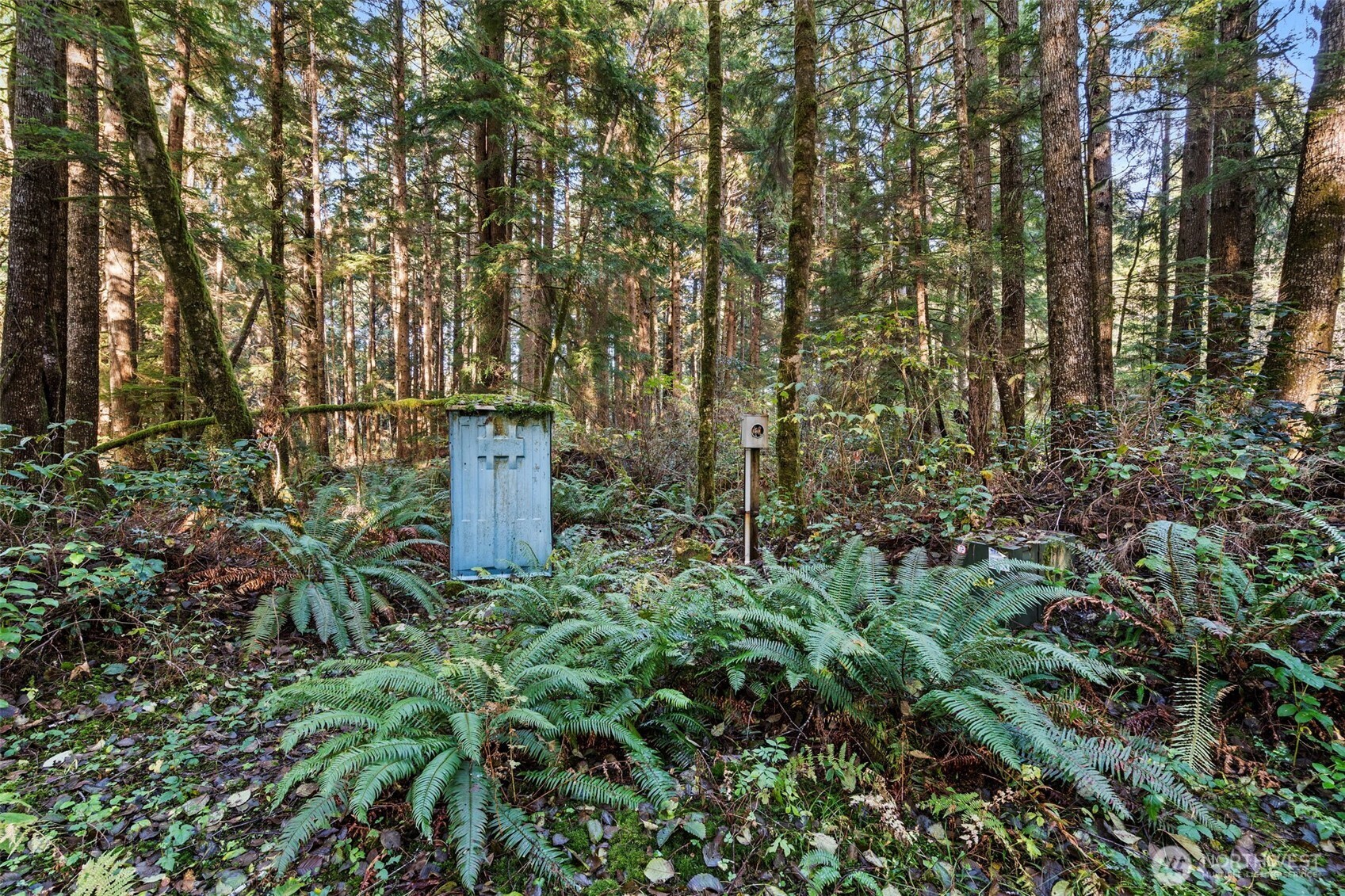 0 Bay Lane South Bend WA 98596
