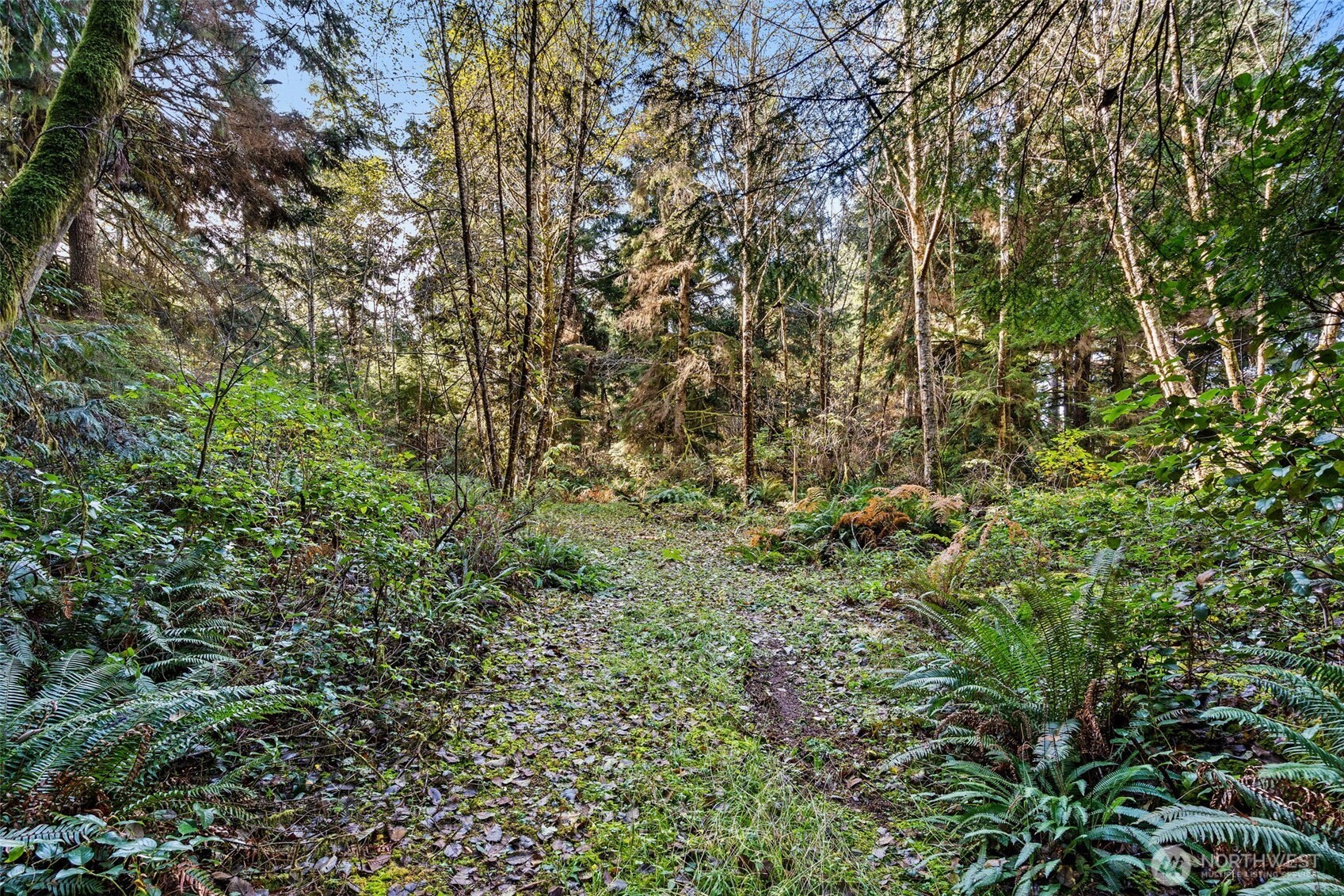 0 Bay Lane South Bend WA 98596