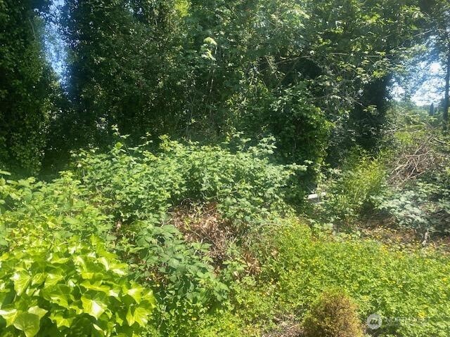 0 Arrowsmith Avenue S Seattle WA 98118