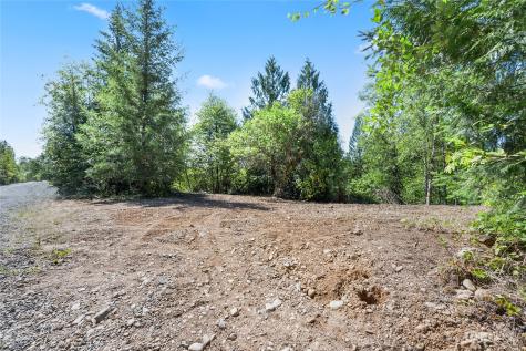 231 Oxbow Lake Lane Toledo WA 98591
