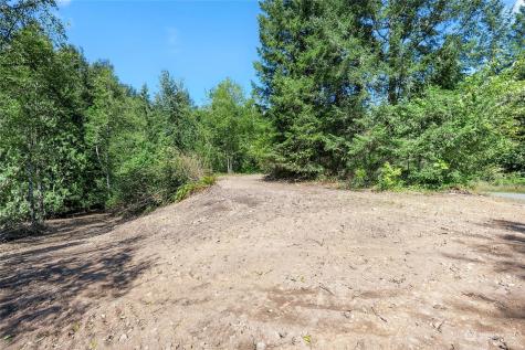 231 Oxbow Lake Lane Toledo WA 98591