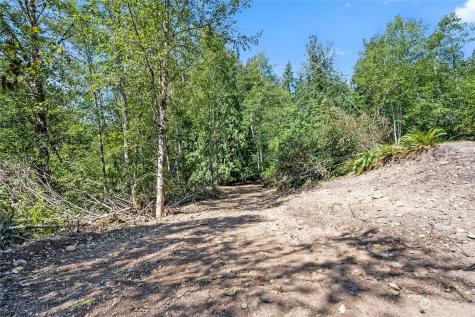 231 Oxbow Lake Lane Toledo WA 98591