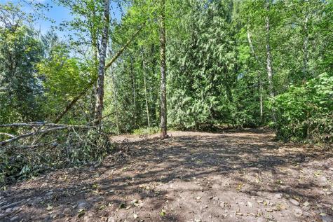231 Oxbow Lake Lane Toledo WA 98591