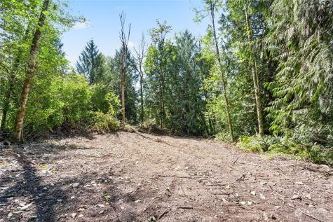 231 Oxbow Lake Lane Toledo WA 98591