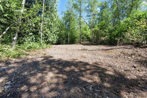 231 Oxbow Lake Lane Toledo WA 98591