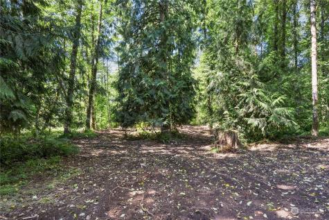 231 Oxbow Lake Lane Toledo WA 98591