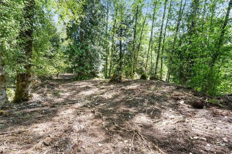 231 Oxbow Lake Lane Toledo WA 98591