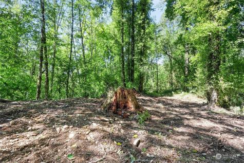 231 Oxbow Lake Lane Toledo WA 98591