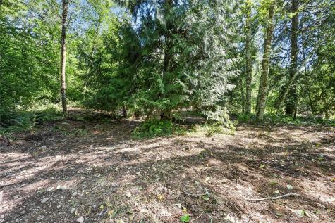 231 Oxbow Lake Lane Toledo WA 98591