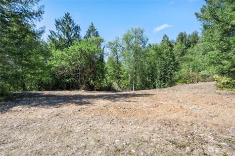 231 Oxbow Lake Lane Toledo WA 98591