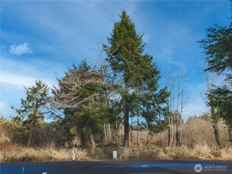 3507 102nd Street Long Beach WA 98640