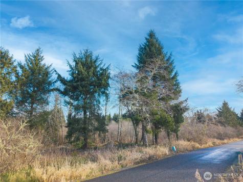 3507 102nd Street Long Beach WA 98640