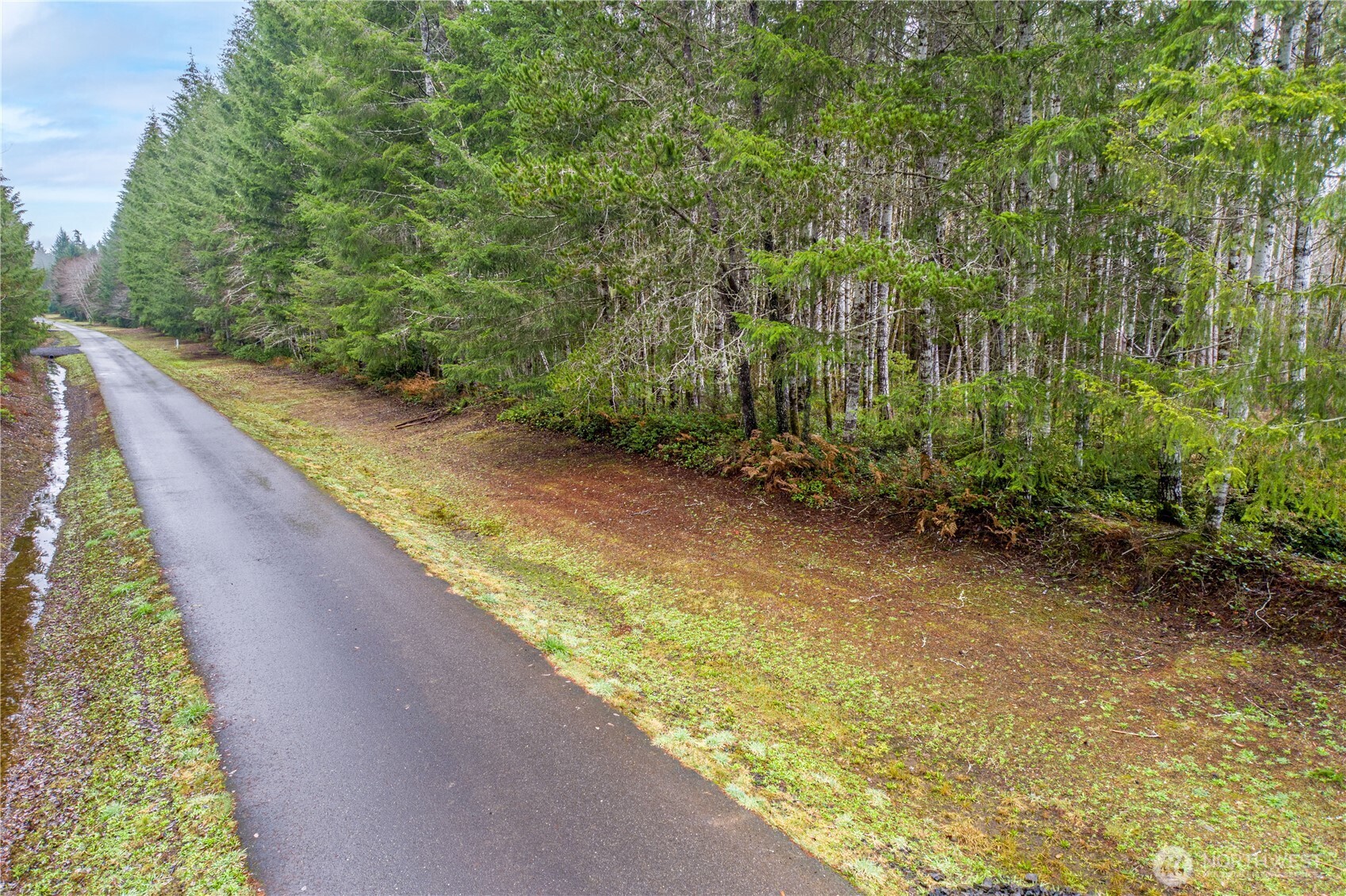 0 Greenberg Lane Belfair WA 98528
