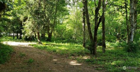 41468 Cape Horn Drive Concrete WA 98237