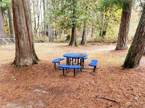 41468 Cape Horn Drive Concrete WA 98237