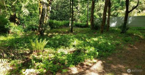 41468 Cape Horn Drive Concrete WA 98237