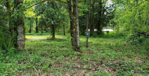 41468 Cape Horn Drive Concrete WA 98237