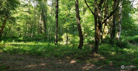 41468 Cape Horn Drive Concrete WA 98237
