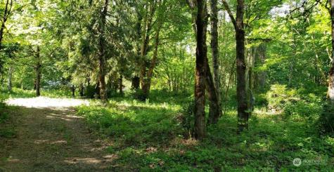 41468 Cape Horn Drive Concrete WA 98237