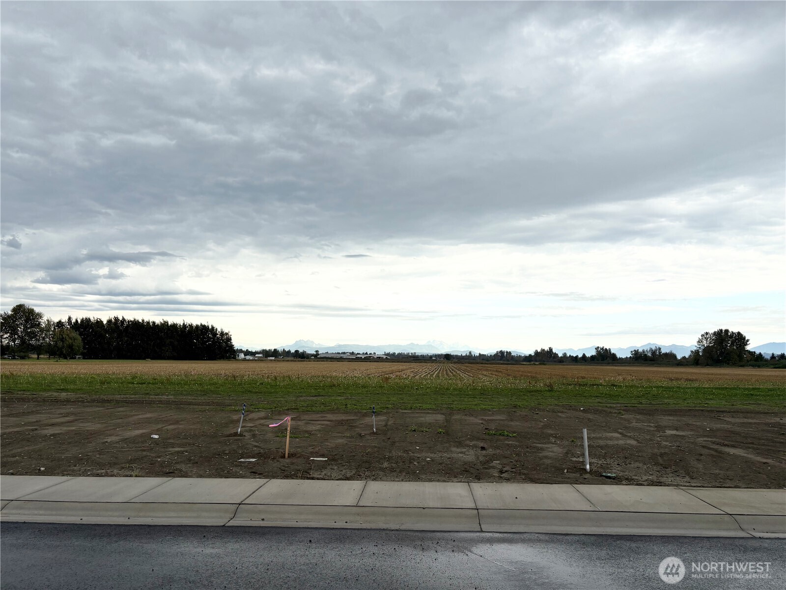 304 W 3rd Street Everson WA 98247