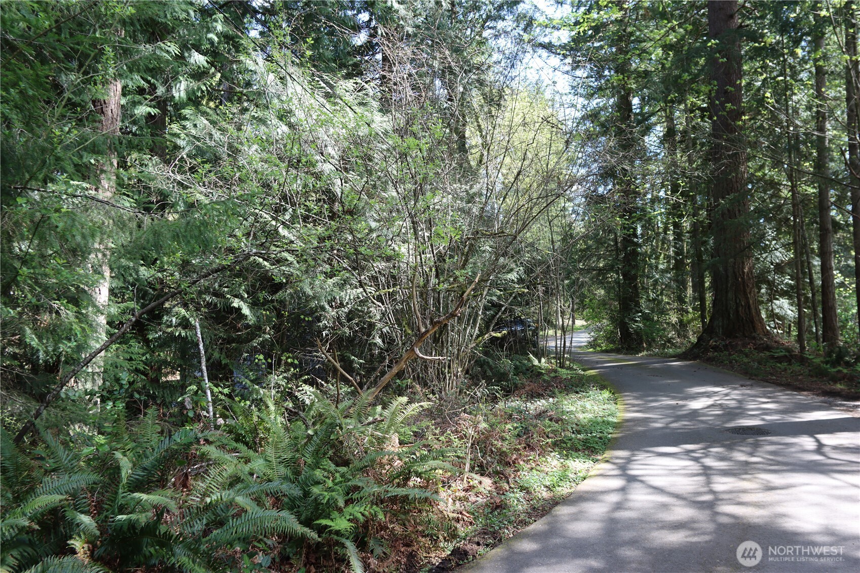 260 SE 18th Place Sammamish WA 98075