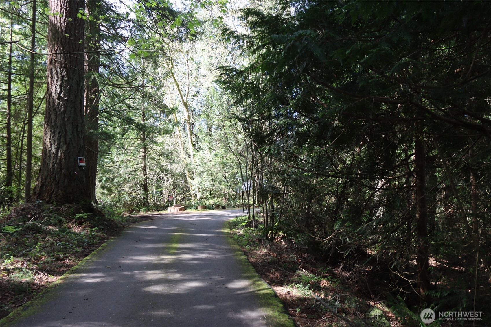260 SE 18th Place Sammamish WA 98075