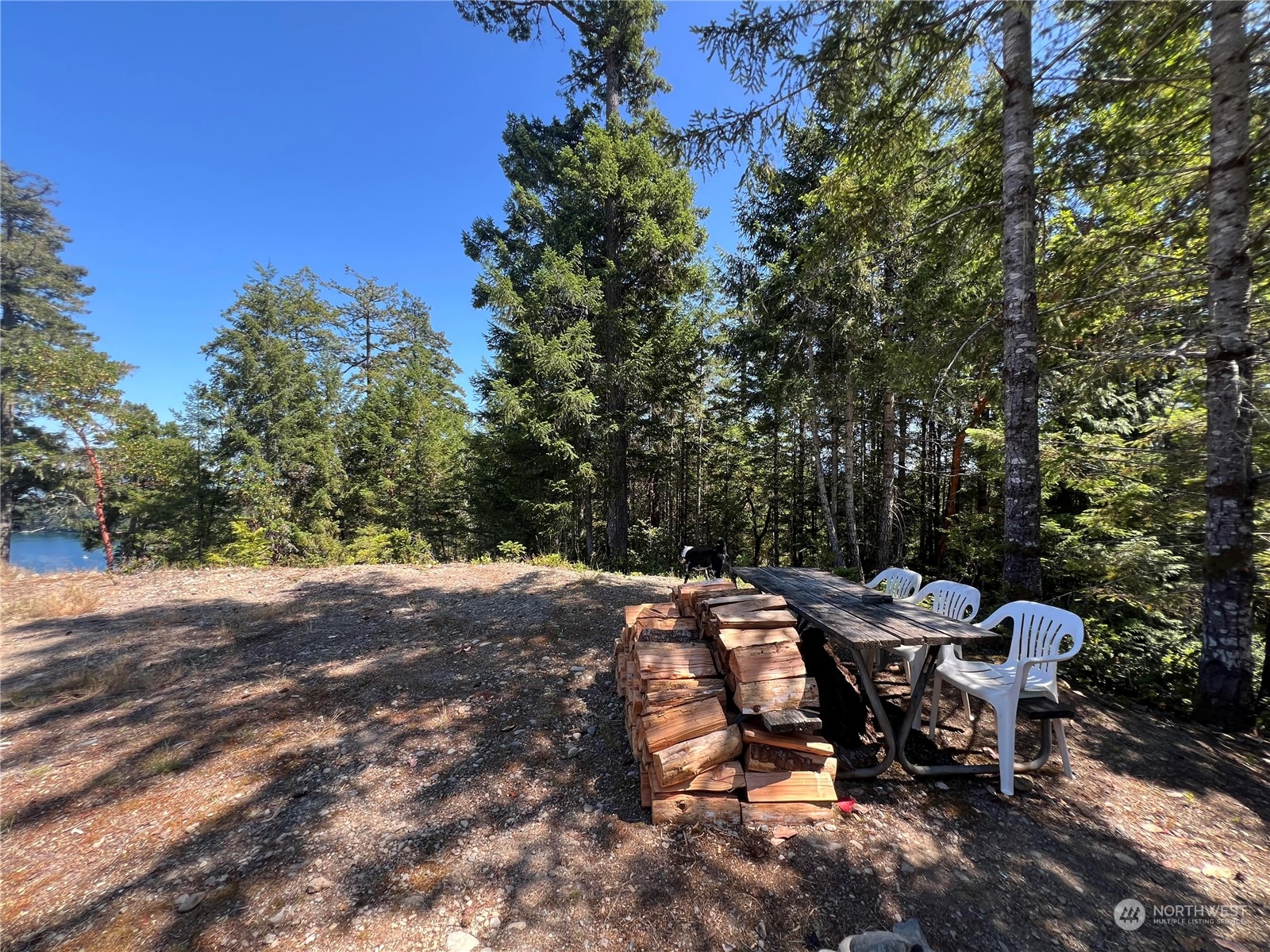 2 Mount Jupiter Road Brinnon WA 98376