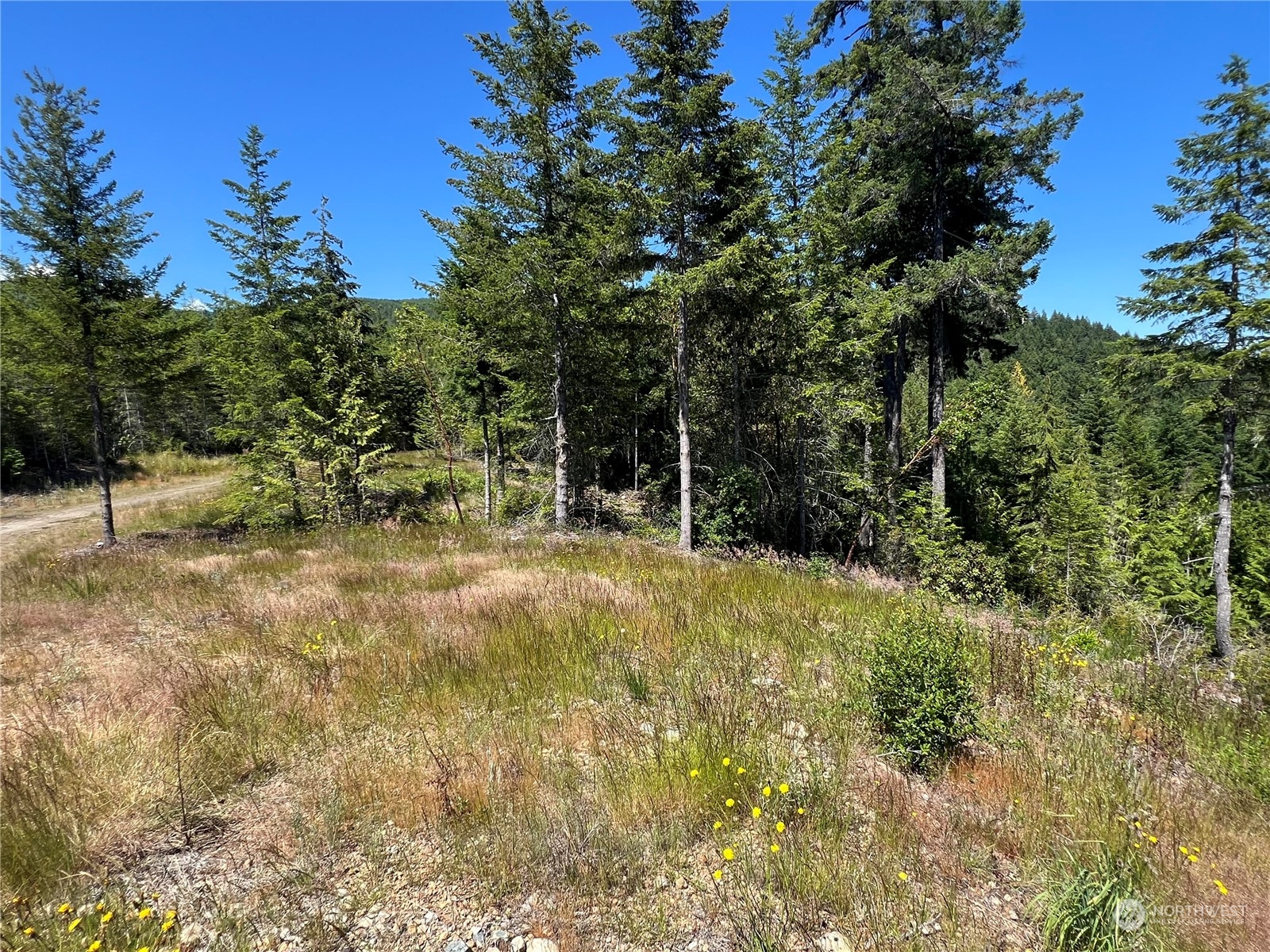 2 Mount Jupiter Road Brinnon WA 98376