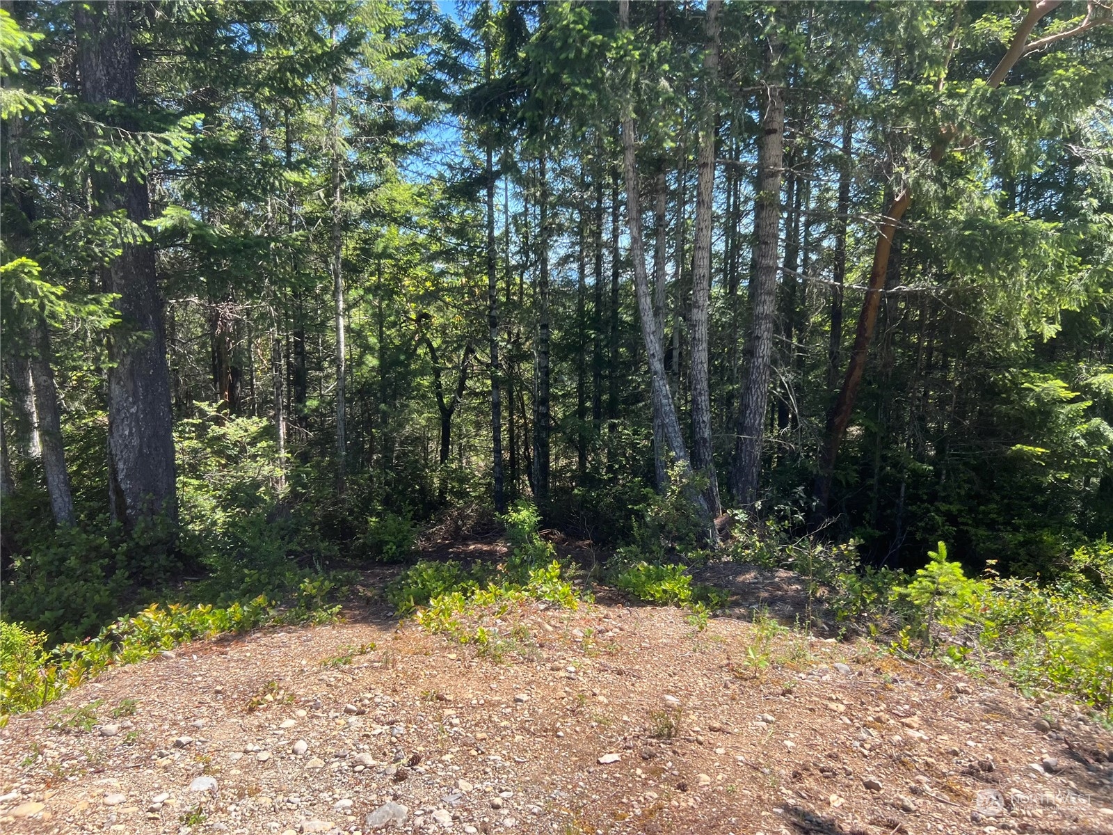 2 Mount Jupiter Road Brinnon WA 98376