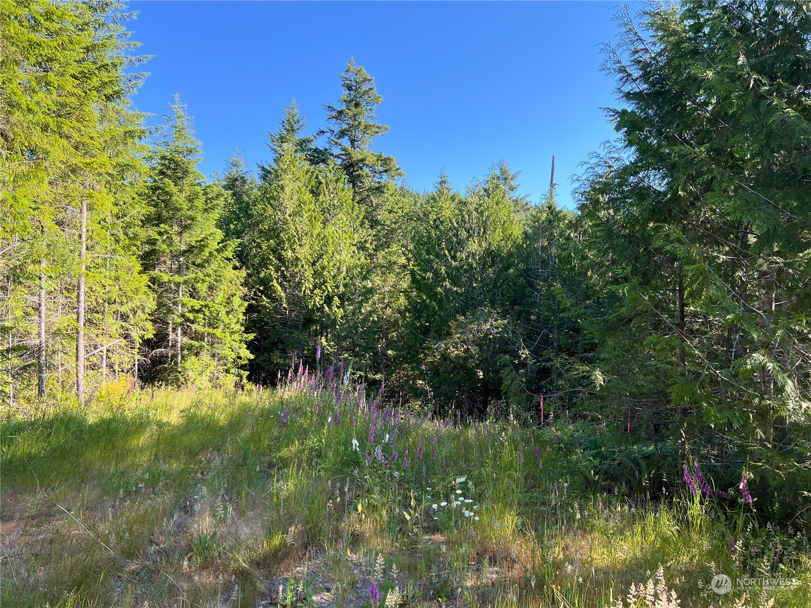 2 Mount Jupiter Road Brinnon WA 98376