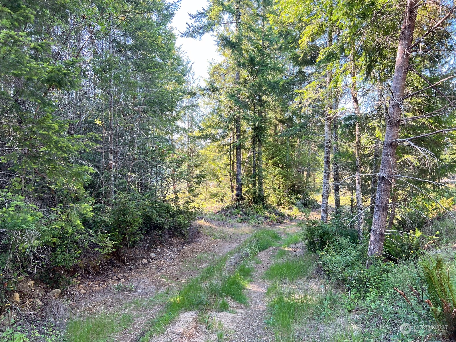 2 Mount Jupiter Road Brinnon WA 98376