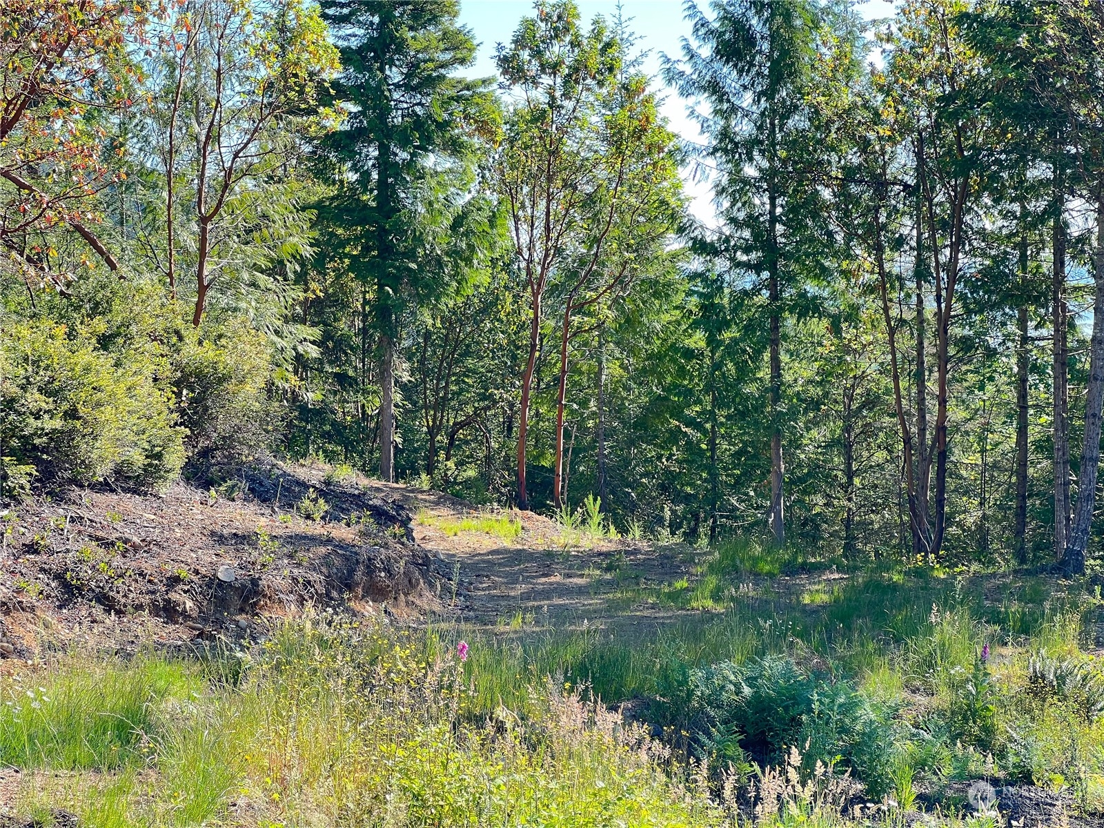 2 Mount Jupiter Road Brinnon WA 98376