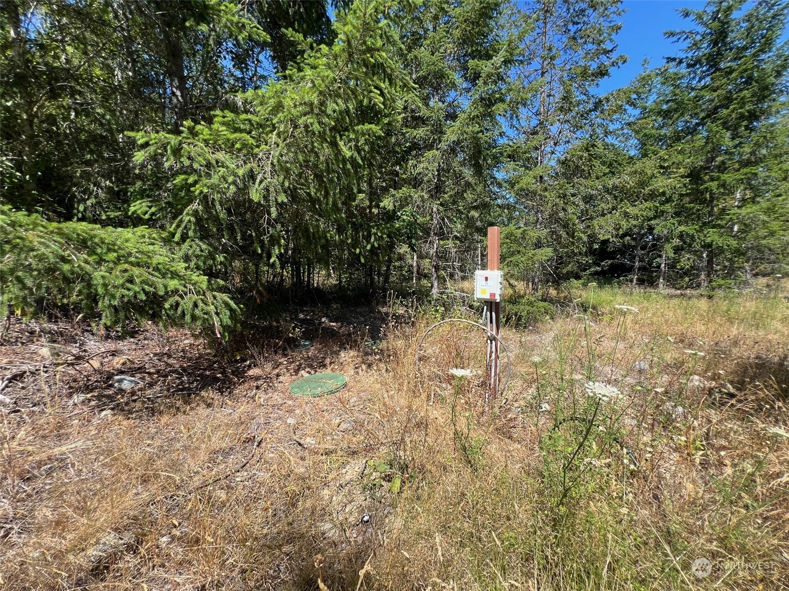 2 Mount Jupiter Road Brinnon WA 98376