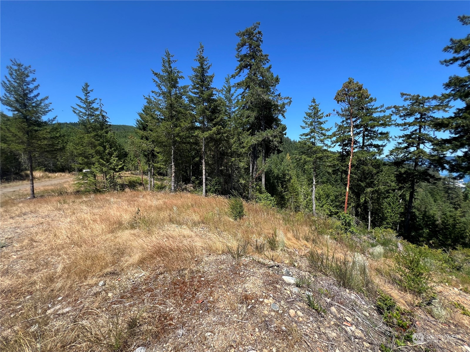 2 Mount Jupiter Road Brinnon WA 98376