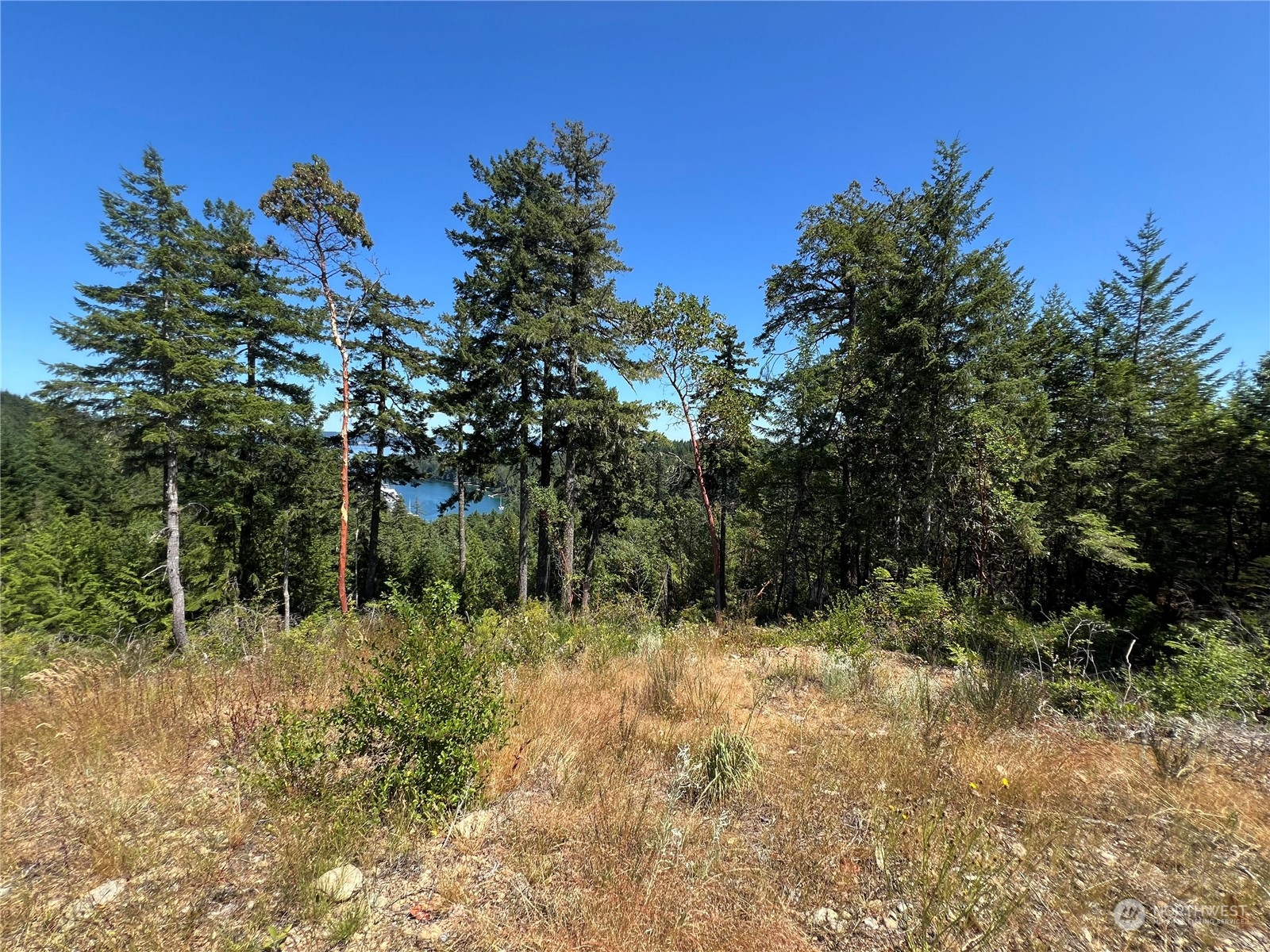 2 Mount Jupiter Road Brinnon WA 98376